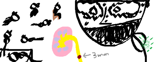 메리메리 주옥같은 12월